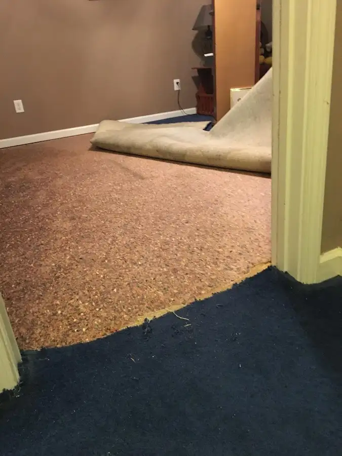 Carpet pad removal revealing water damage during Drying & Dehumidification in Upper Nazareth